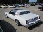 BELLE ISLE PICNIC 2013 025.jpg
