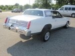 BELLE ISLE PICNIC 2013 040.jpg